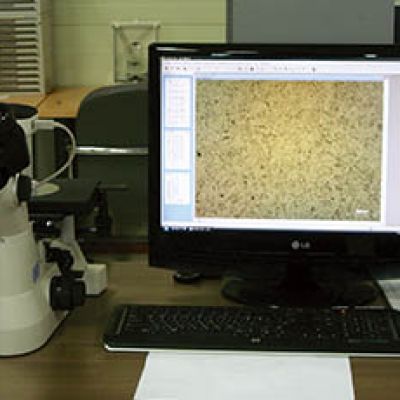 금속 현미경